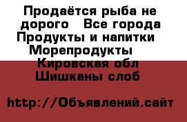 Продаётся рыба не дорого - Все города Продукты и напитки » Морепродукты   . Кировская обл.,Шишканы слоб.